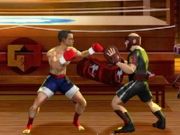 Play Karate Fighter XL